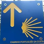 Vasco Da Gama
