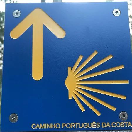 Vasco Da Gama